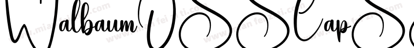 WalbaumOSSCapSSK Regular字体转换